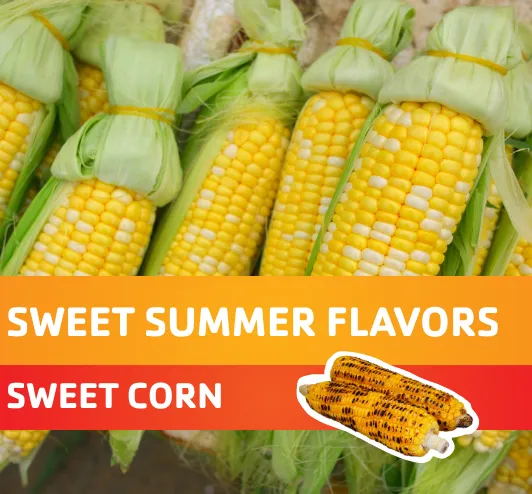 Ears of sweet corn.